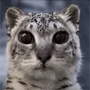 mrsenoteko