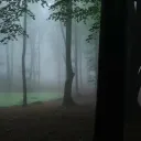 gotthroughit
