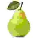friedamogus avatar