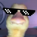 gamerty4