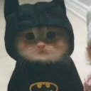 Udai's Avatar