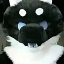 dairbear