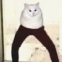 ul._