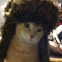 avatar Animator27 (COMMS-OPEN)