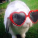 avatar kat