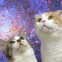 inuneko7799710's Avatar