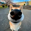hi_itsme1337
