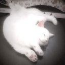 avatar coconut dr pepper