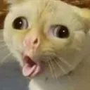 maliciouscreep