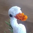 poplinbex
