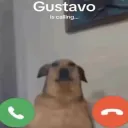 happycapy3311