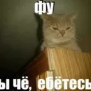 Аватар only_v1x_