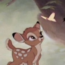 soupster (#1 given enough stan)