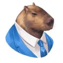 reiskahoitaa