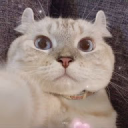 alejandroli3321142's Avatar