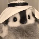 kxgura avatar