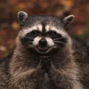 xobandit