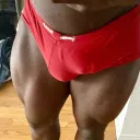 roidbulge