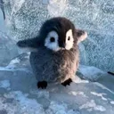 ilegs