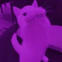haupt.bloxed avatar