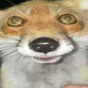 ramen2970
