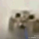 that guy with a hat