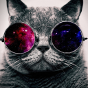 avatar 𝓣𝓸𝓶𝓶𝔂