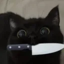 tokssi