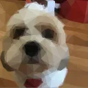 ralphie0511