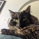 avatar me when lua🤤