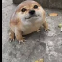 trashzkk