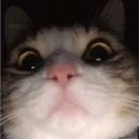 darkslayer_real
