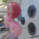 tasmanian5839 avatar