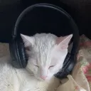 meowing6969