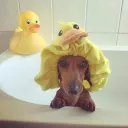 chloe.monkee