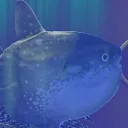 taxbox avatar