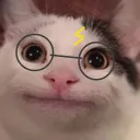 belugapotter7029 avatar