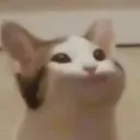 pinkpanther8017