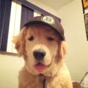 herababy24