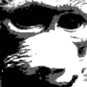 avatar Raven