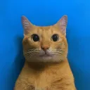 tobific