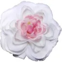 nubedivina avatar