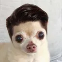 narsildoom