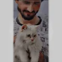 waleedii