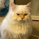 hettaisobel