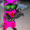 avatar a kinder world full of kitty cat