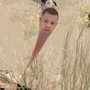 nibiribota