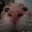 683255