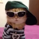hanz.here
