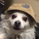 cryvlw